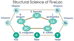 Image showing the structural science of FiveLac